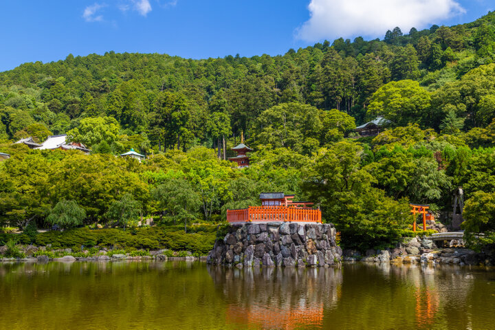 【箕面市】ハイキングを兼ねても♪ 花とダルマのお寺「勝尾寺」で勝運祈願