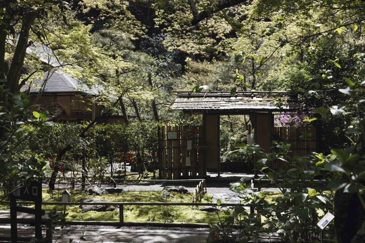 青々と茂る緑に囲まれた境内でほっと一息入れる特別な場所