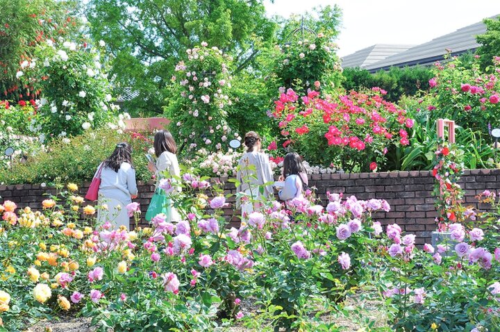 【2025年5月】関西のイベント19選