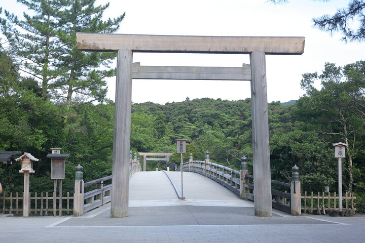 見ごろは5月末ごろまで。皇室ゆかりのバラも咲き誇る「神宮ばら園」