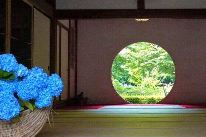 北鎌倉のあじさい散歩♪神秘的な青色のあじさいが境内を埋め尽くす明月院からめぐる初夏の一日
