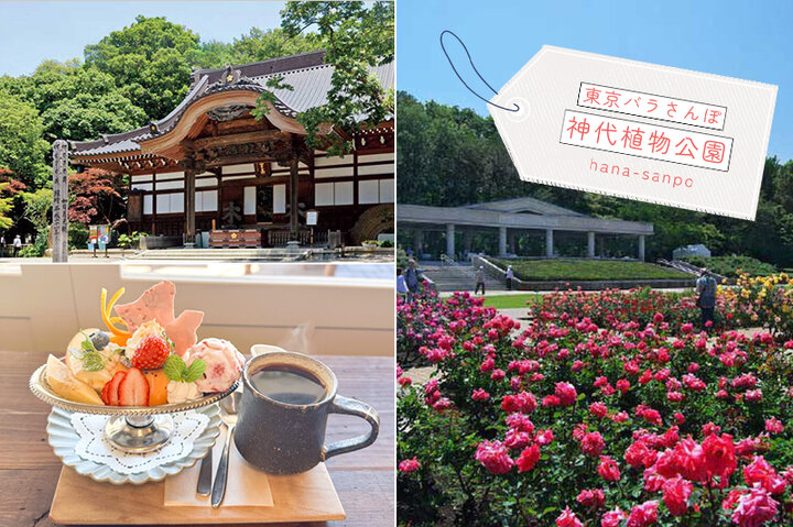 東京バラさんぽー都内最大のバラ園「神代植物公園」からめぐる春の調布・府中ー