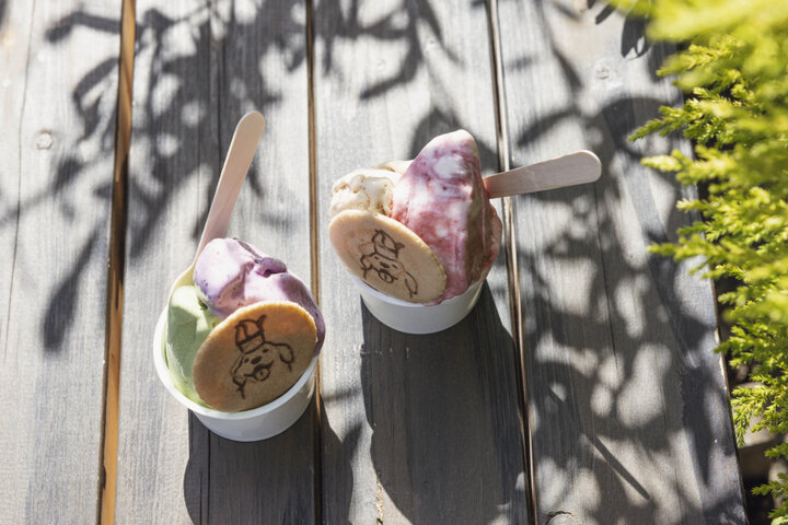 看板犬が出迎えるジェラート屋さん「NICO&LEONE GELATERIA BAR」