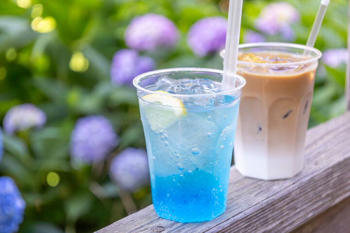 あじさいの時期はカフェもオープン♪