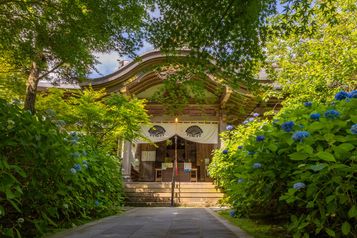 見どころも多い幻想的なあじさい寺を散策