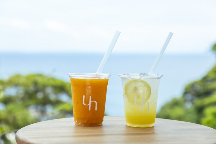 江ノ島の絶景テラスでひとやすみ♪海風が心地よいリゾートカフェ「UMITO café by n.」