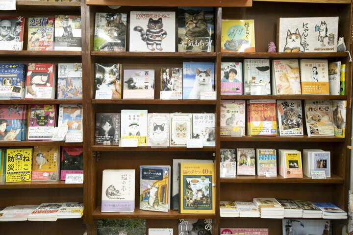 猫グッズもたくさん♪神保町「猫本専門店 にゃんこ堂」でお気に入りの猫本探し