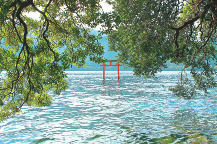 早朝から参拝できる神奈川県内の寺社6選〜朝活やめいっぱい楽しむ一日の始まりに〜