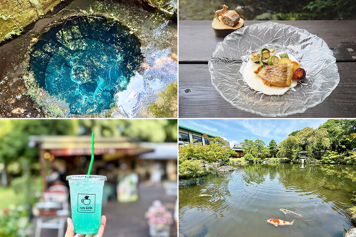 青く澄んだ“ブルーホール”に魅せられて♪ せせらぎの街「三島」周辺で水辺の絶景スポットをめぐるリフレッシュ旅