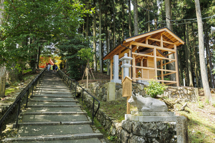 日本パワースポット巡り 日本聖地浪漫~比叡山・延暦寺 [DVD] 世界遺産・比叡山延暦寺の里坊「比叡山坂本」の街をネイキッドの