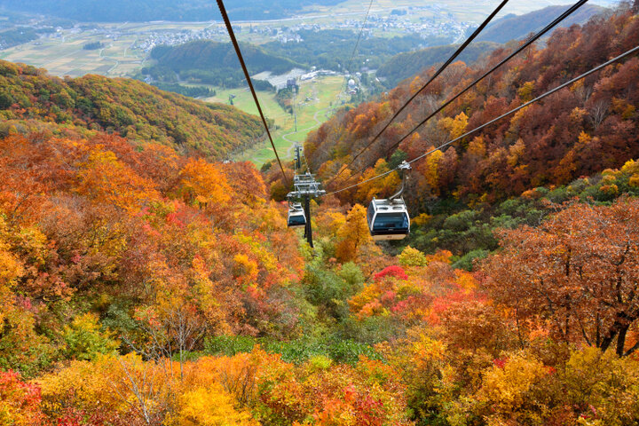紅葉ゴンドラで空中さんぽ♪「白馬五竜高山植物園」で楽しむ秋のひととき