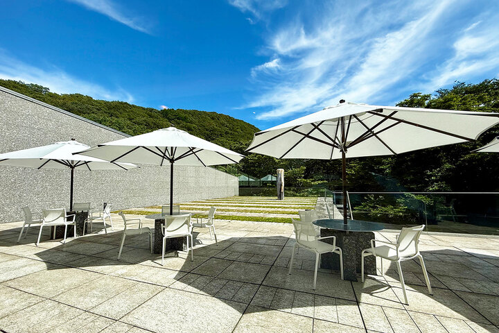 森林浴とアートを楽しみながら絶品ランチ♪ 箱根で特別な時間が過ごせるポーラ美術館の「レストラン アレイ」