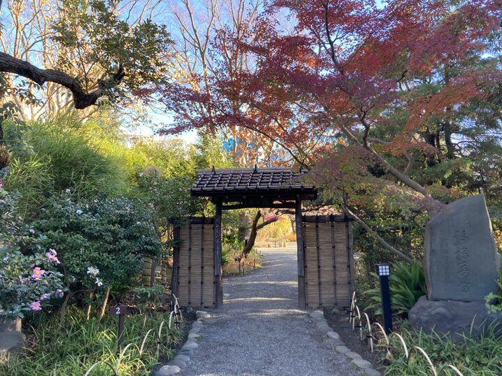 下町の小さな楽園「向島百花園」でのんびりさんぽ。秋の草花が彩る庭園へ