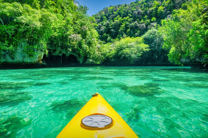 バナーイメージ