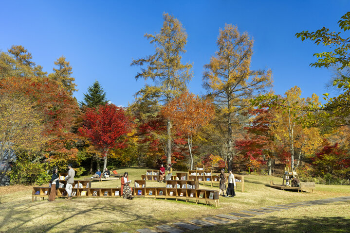 軽井沢星野エリア最旬ニュース4選。紅葉図書館から星降る森のクリスマスまで