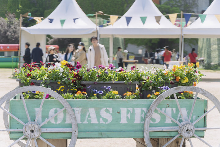 【2025年11月】関西のイベント16選