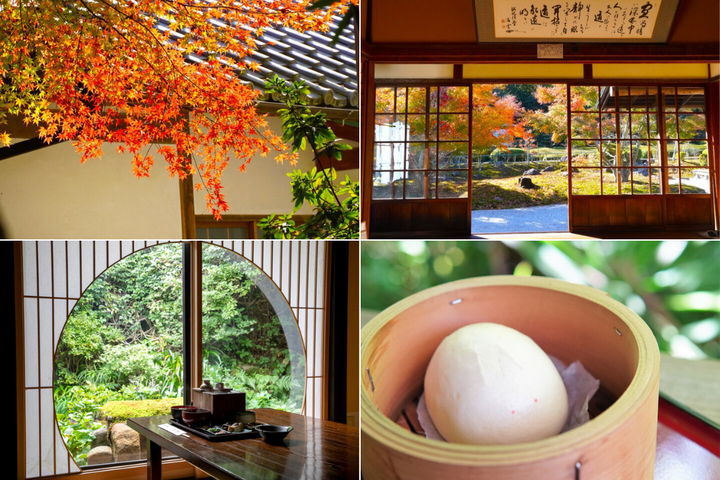深まりゆく秋の北鎌倉を満喫♪古刹の特別拝観で楽しむ紅葉と地元の食材を味わう湯豆腐のお昼ごはん