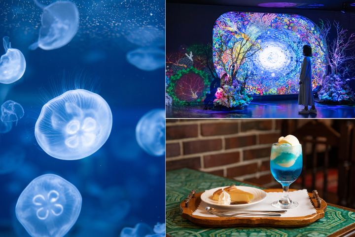 バナーイメージ