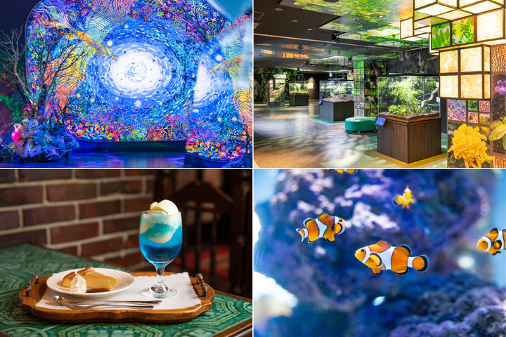 バナーイメージ