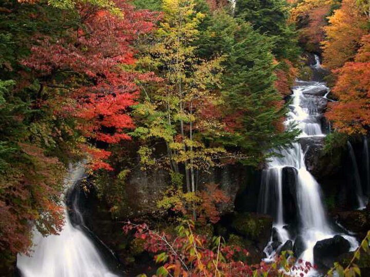 日光さんぽで行きたいスポット6選〜紅葉や世界遺産の神社、ご当地グルメを満喫〜