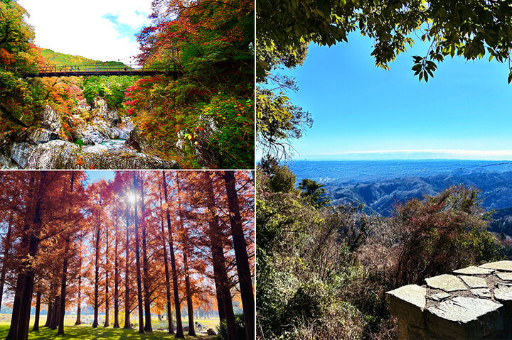 大自然の中リフレッシュ♪都心から気軽に行ける秋を満喫できるスポット6選～穴場の紅葉名所や海外気分に浸れる場所も～