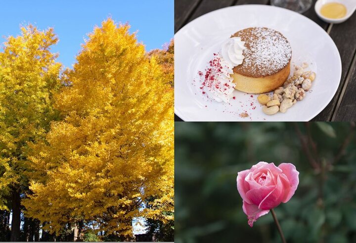 紅葉とバラが見頃♪深大寺・神代植物公園のカフェ「グリーンサロン」で癒しのひととき