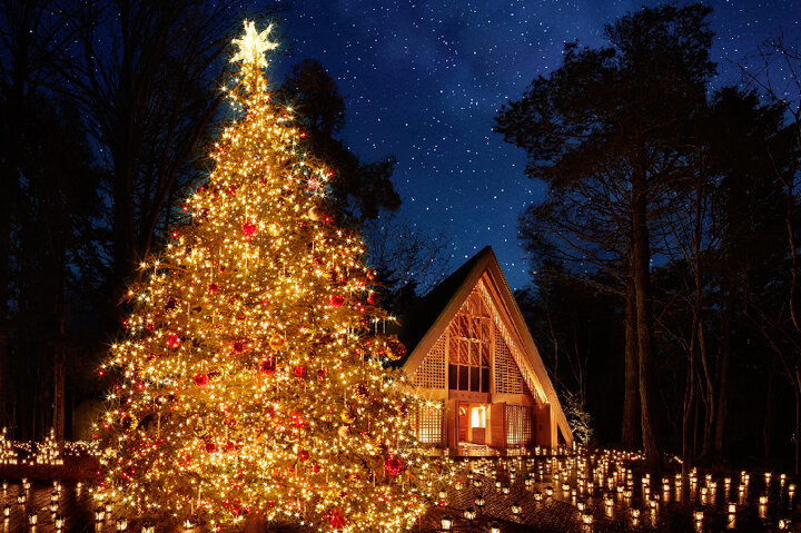 日帰り利用も♪ 星野リゾートのクリスマスイベント5選【2025年】