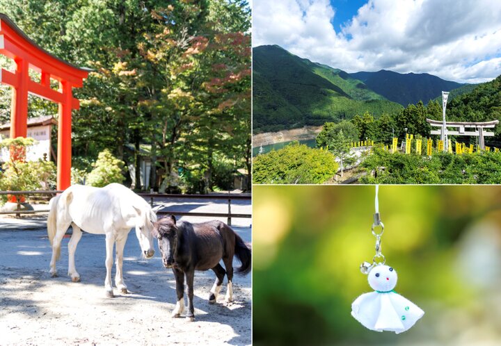 白黒2頭の神馬に会える♪ 奈良・吉野「丹生川上神社」で心潤す三社めぐり