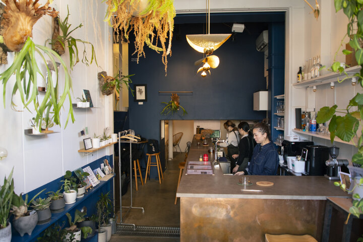 小さな森のような空間が素敵♪アートも楽しめるボタニカルカフェ「ル・ボア」でほっとひと息