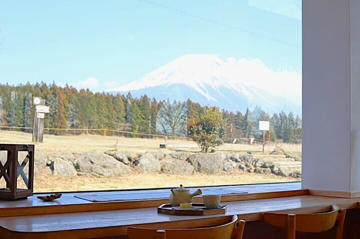 静岡で楽しむ春のお茶旅♪富士山絶景スポットから世界一濃い抹茶スイーツまで厳選6選