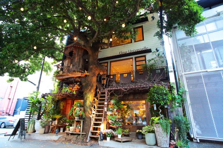 都会の真ん中にツリーハウス 緑あふれる屋上テラス席が人気のカフェ 広尾 レ グラン ザルブル ことりっぷ