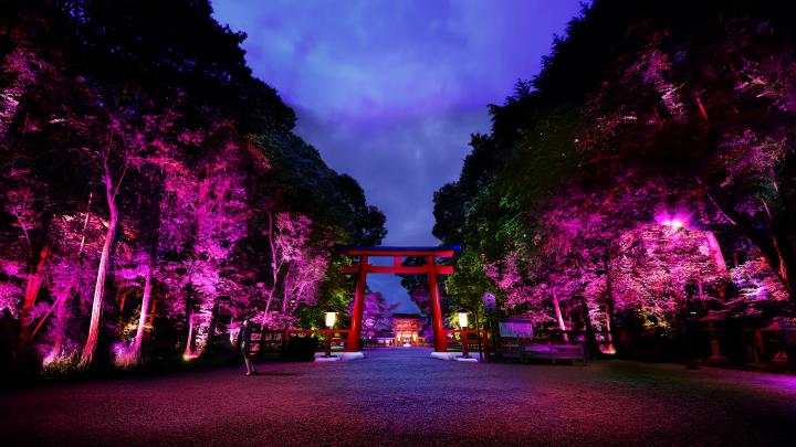 世界遺産が幻想的なアート空間に。京都・下鴨神社で期間限定ライトアップ開催