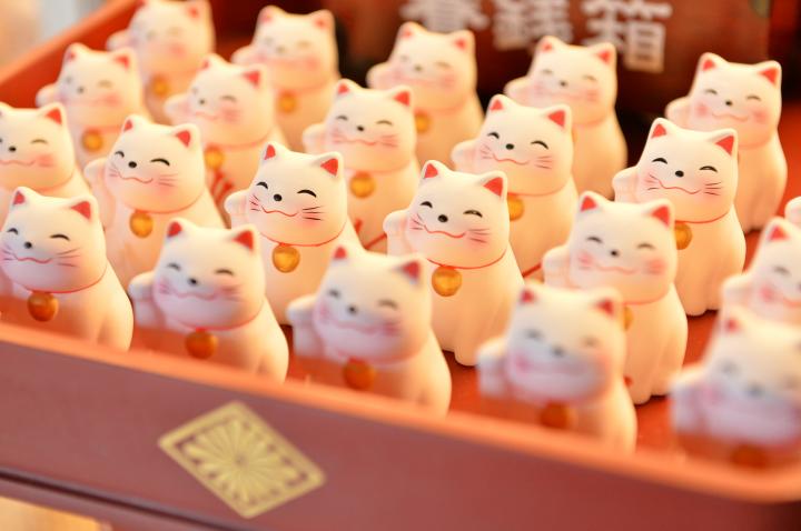 ココロとカラダが喜ぶ、ヘルシーを求めて茨城へ