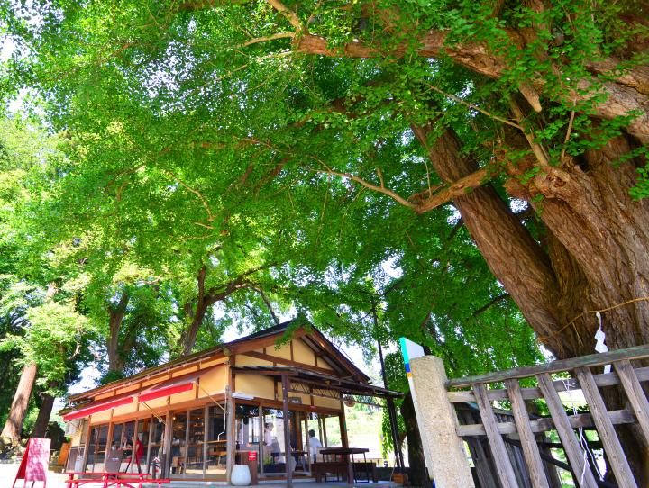 “縁むすび”の神様が見守る神社カフェ、 山形「icho cafe」