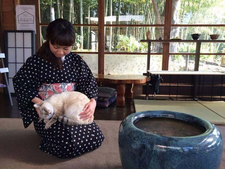 美山の小さな着物屋で出会う“ふだんキモノのススメ”