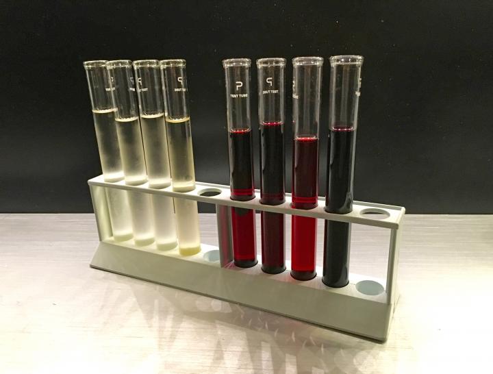 試験管で味わうワインから遺伝子占いまで。四ツ谷のサイエンスバー「インキュベータ」