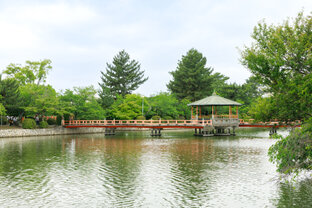 九華公園