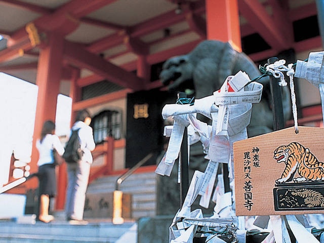 毘沙門天(善国寺) - (東京都)の詳細情報 | ことりっぷ 毘沙門天(善国寺) - (東京都)の詳細情報 | ことりっぷ