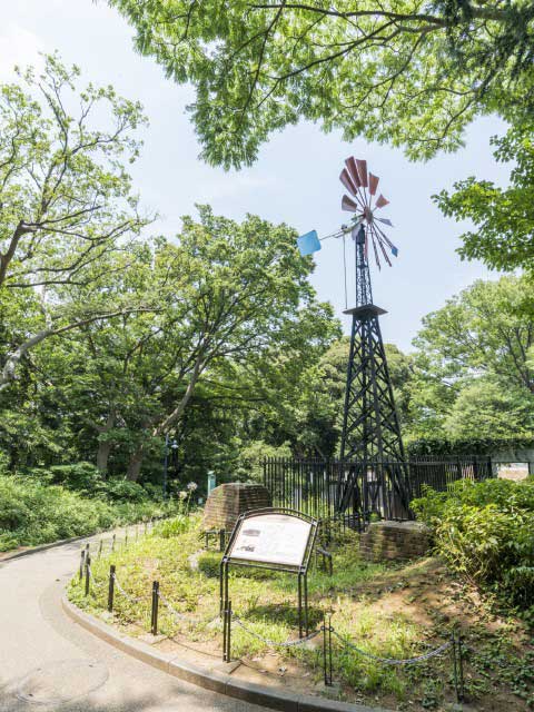 港の見える丘公園 - （神奈川県）の詳細情報 ｜ ことりっぷ