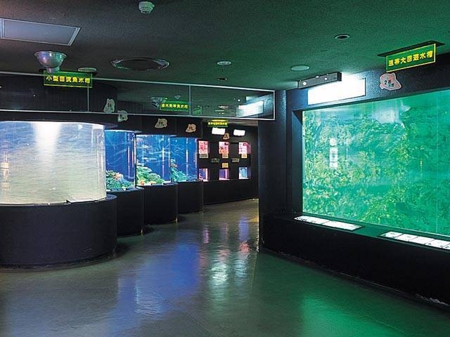 長岡市寺泊水族博物館 ことりっぷ厳選 おでかけ 観光情報