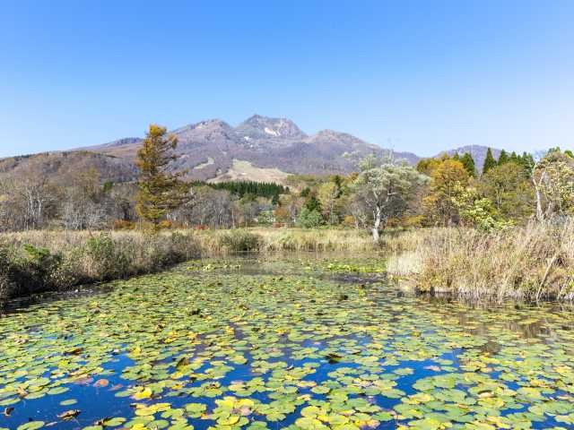 妙高山 - （新潟県）の詳細情報 ｜ ことりっぷ