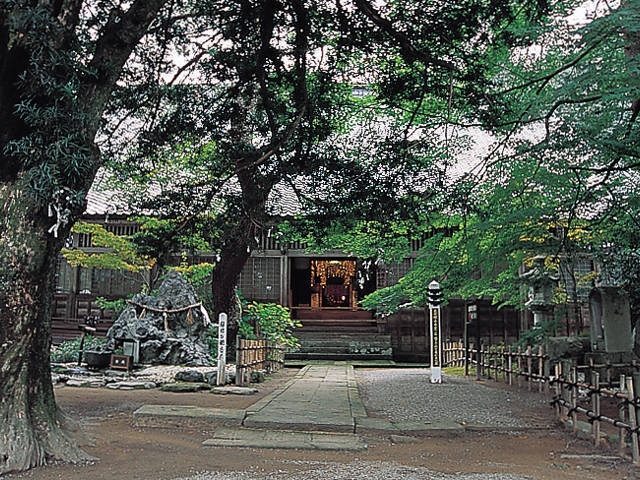 大安禅寺 - （福井県）の詳細情報 ｜ ことりっぷ