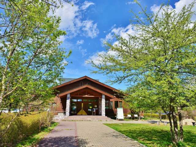 春、清里高原に鹿の角を拾いに行く｜（花鳥風月）ikesan