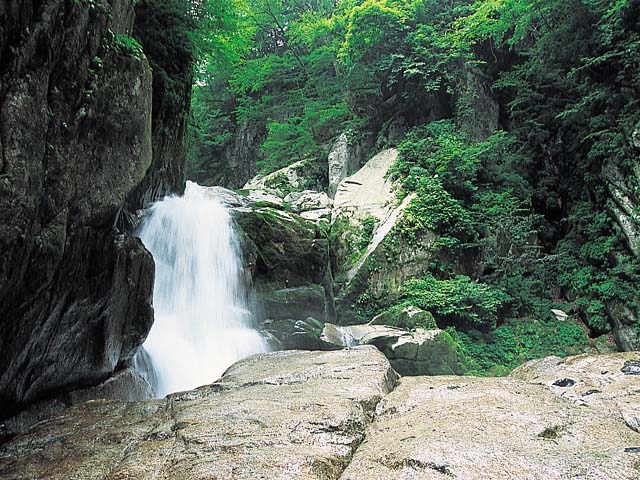 尾白川渓谷 - （山梨県）の詳細情報 ｜ ことりっぷ