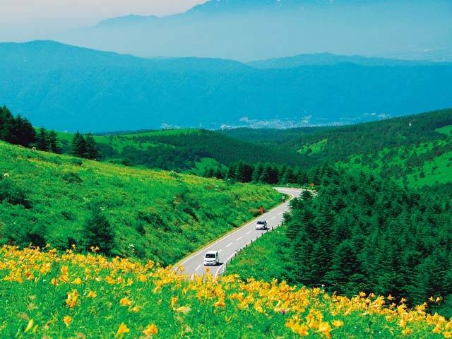 霧ヶ峰高原 - （長野県）の詳細情報 ｜ ことりっぷ