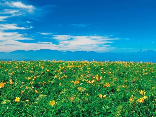 霧ヶ峰高原 - （長野県）の詳細情報 ｜ ことりっぷ