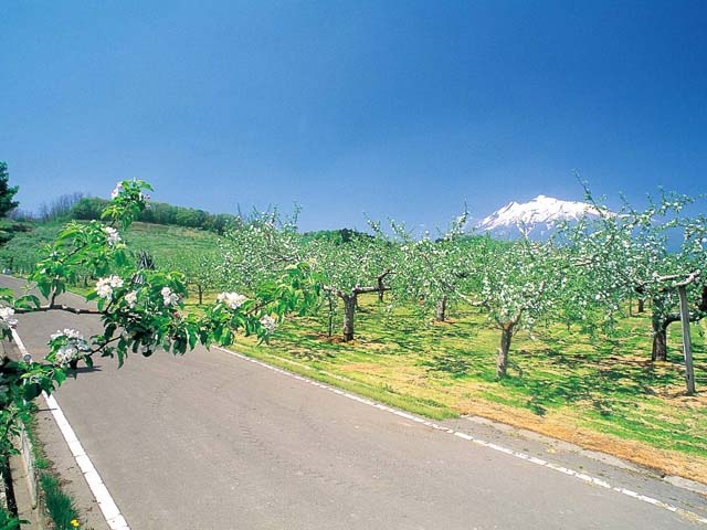 岩木山 - （青森県）の詳細情報 ｜ ことりっぷ
