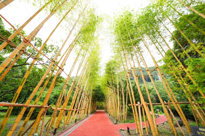 土肥金山 - （静岡県）の詳細情報 ｜ ことりっぷ