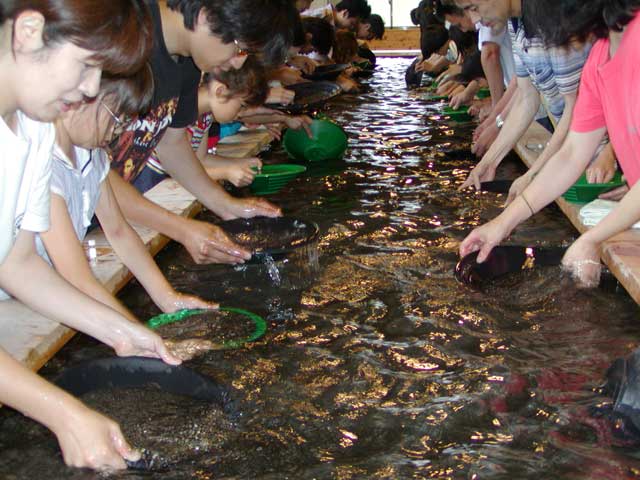 土肥金山 砂金館 - （静岡県）の詳細情報 ｜ ことりっぷ