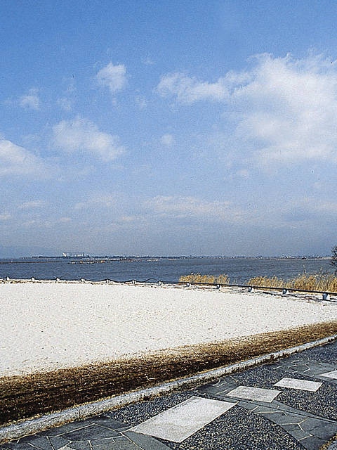 ホワイトビーチ ホワイトビーチ - （滋賀県）の詳細情報 ｜ ことりっぷ